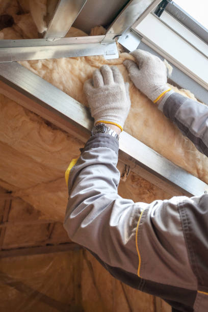 Best Types of Insulation in Appleton, WI