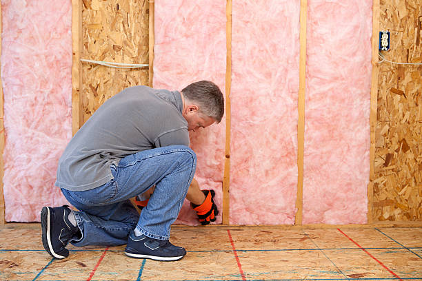Best Residential Insulation in Appleton, WI